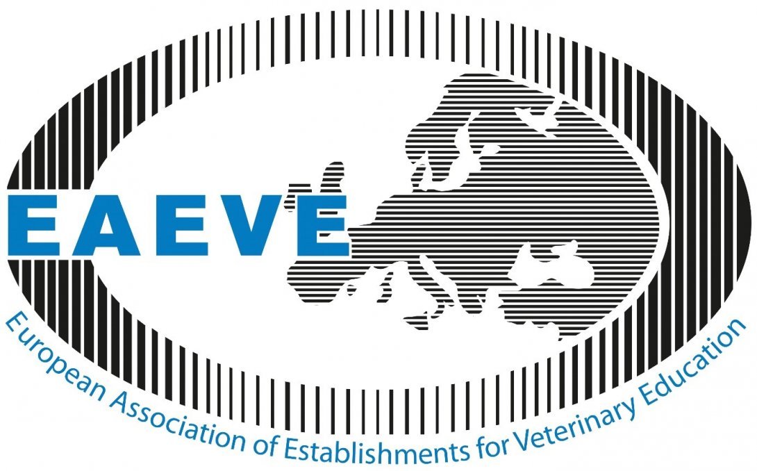 20131121084916logo_EAEVE